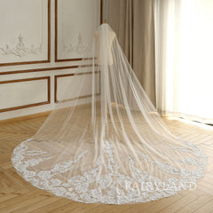 Vintage lace bridal veil glitter sequins wedding veil gorgeous church bridal veil