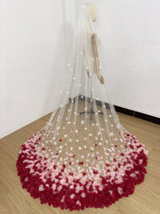 Cathedral Length 3D Floral Wedding Veil – Romantic Tulle Bridal Veil with Ombre Petal Appliqué Train