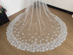 Cathedral Length Lace Wedding Veil – Soft Tulle Bridal Veil with Floral Appliqué Edge