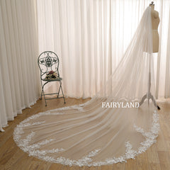 Long Cathedral Bridal Veil with Delicate Lace and Sheer Illusion Tulle