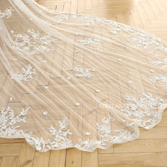Two-layer Lace Appliques Blush Veil For Wedding