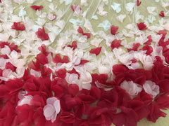 Cathedral Length 3D Floral Wedding Veil – Romantic Tulle Bridal Veil with Ombre Petal Appliqué Train